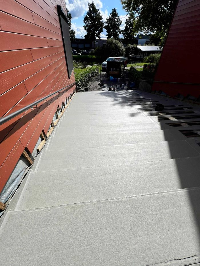 Triflex ProDetail systeem toegepast op betontrap